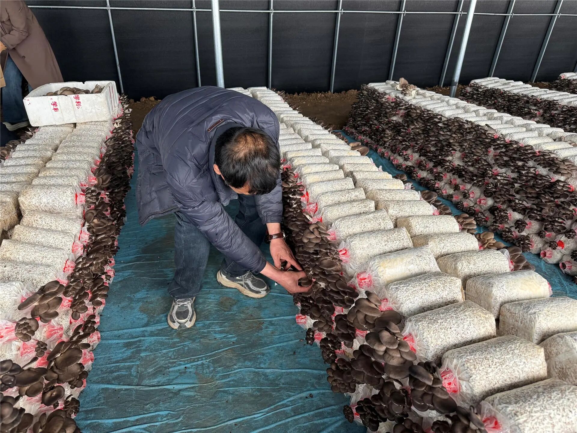 乌兰浩特市：“多点开花”为乡村振兴赋能添力